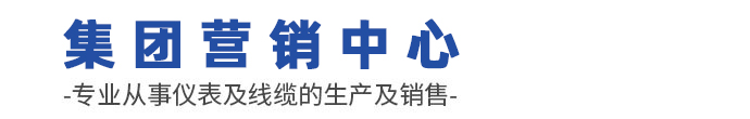 集团营销中心