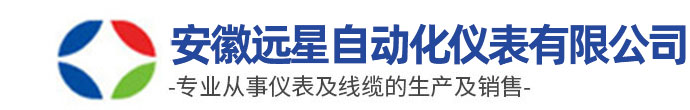 安徽远星自动化仪表有限公司